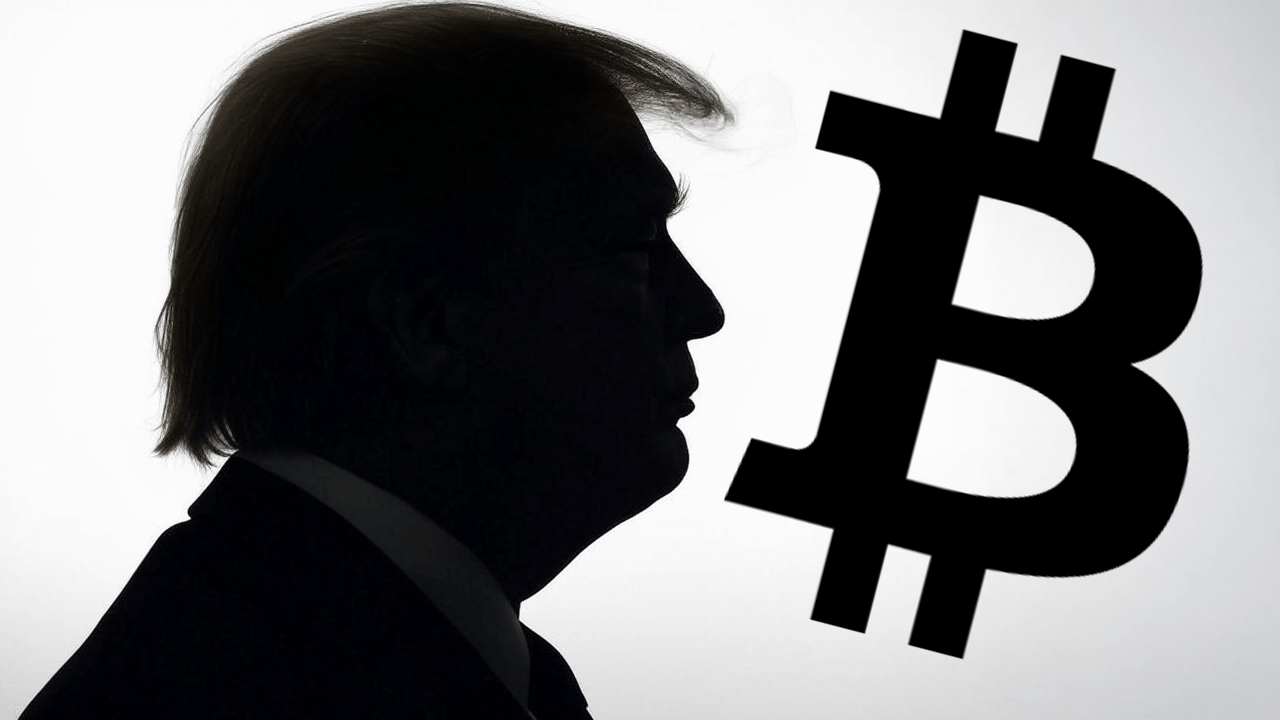 BTC Breaks $105K: Is the Trump Pump or Institutional Adoption Fueling a  $3.63T Crypto Economy?