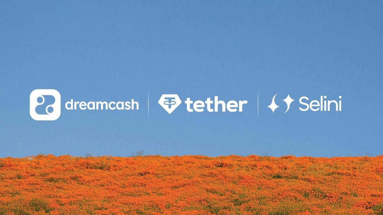 Dreamcash to Launch RWA Perpetual Markets on Hyperliquid With Tether and Selini  Capital