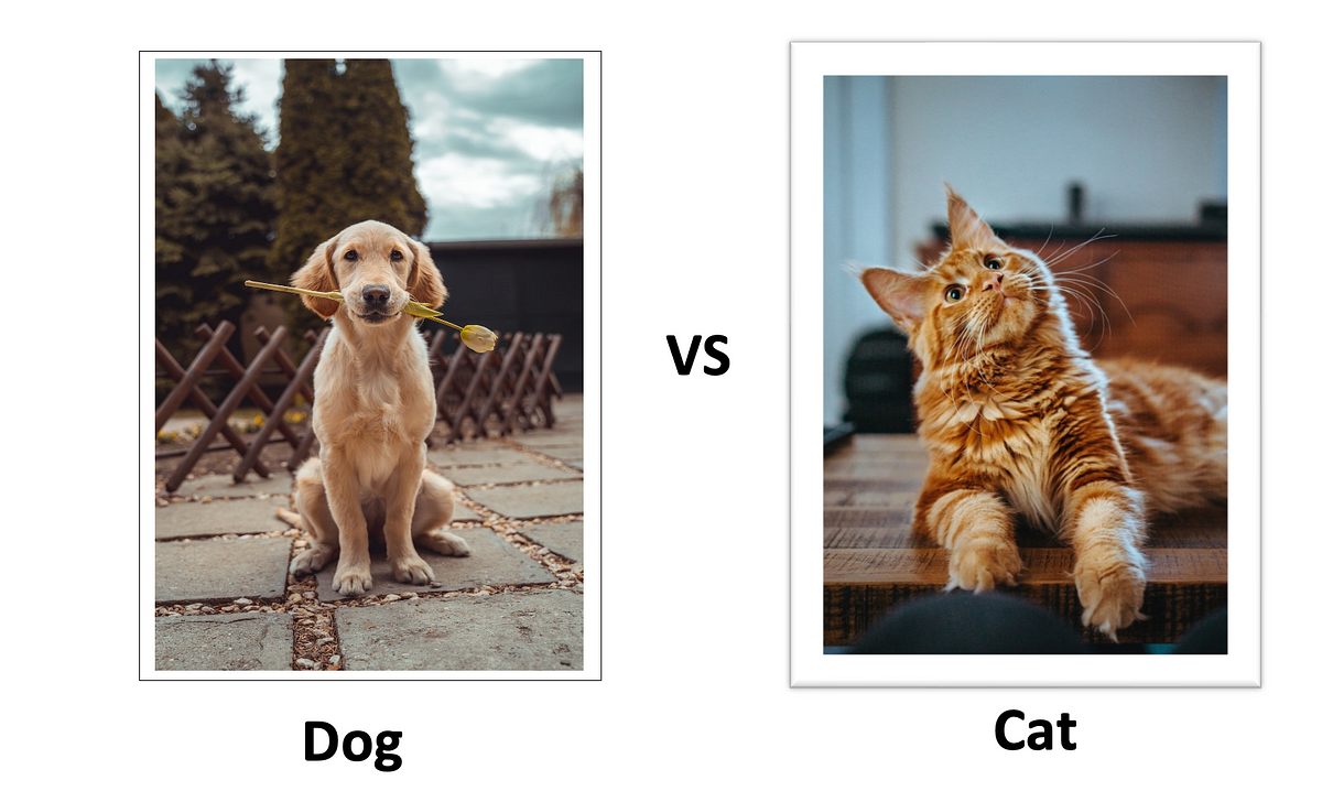 Image Classification For Beginners Image Classification For Beginners