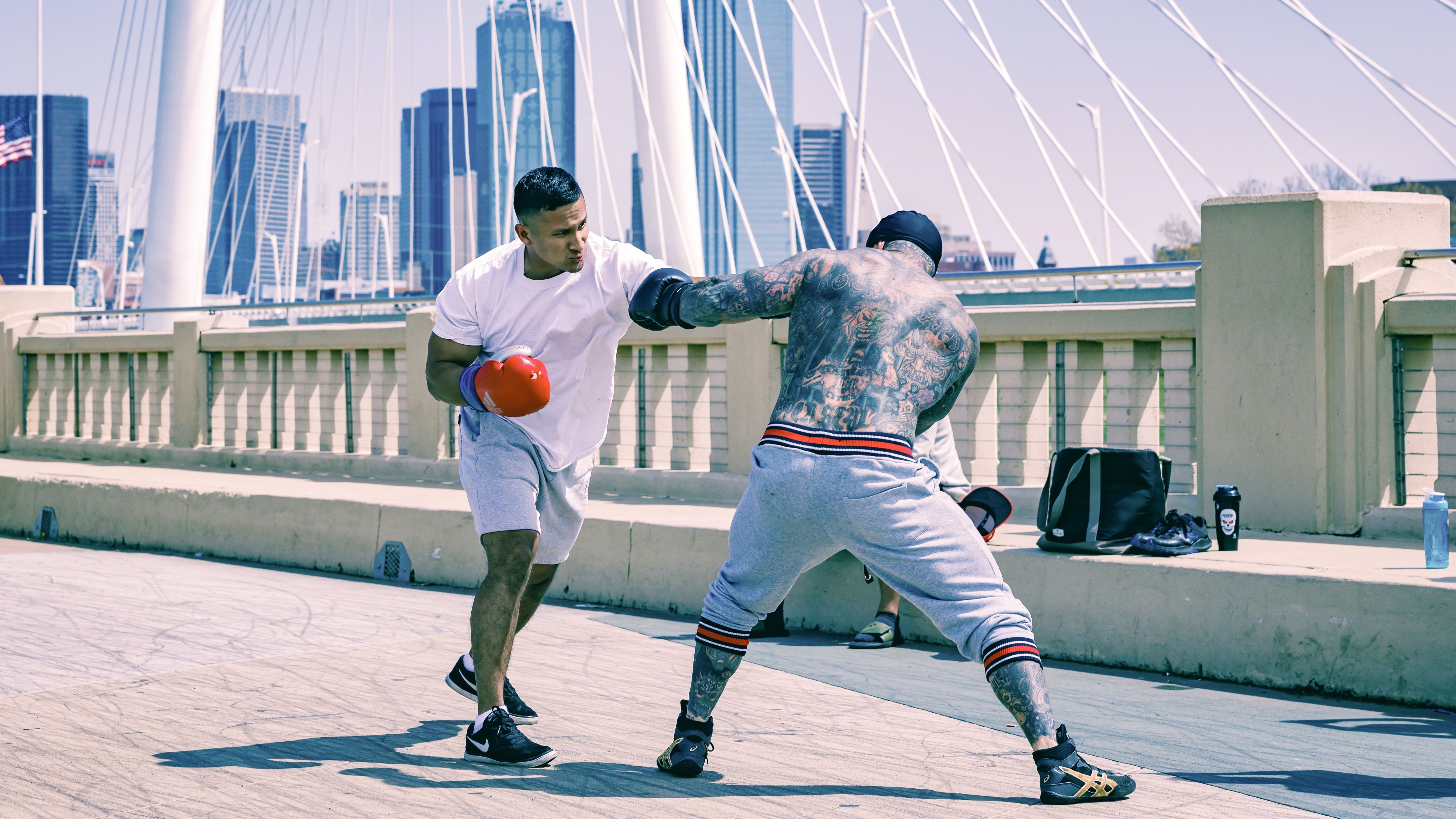 Bitcoin, Ether Bulls Hit With $800M Liquidation as Trump-Musk Tussle  Rattles BTC, ETH