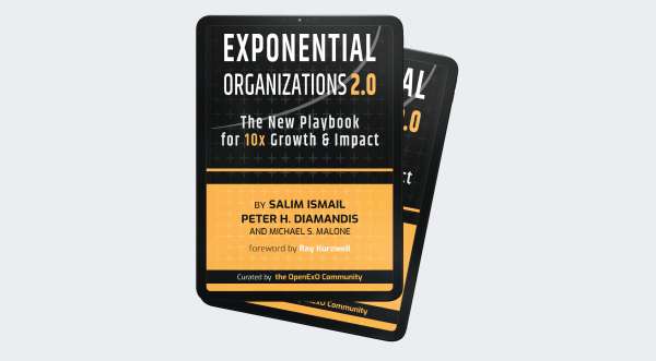Exponential Organizations Book