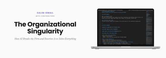 Organizational Singularity Markdown File