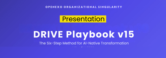 DRIVE Playbook Presentation