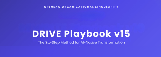 DRIVE Playbook